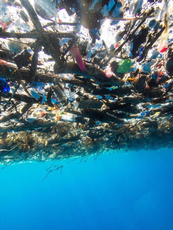 https3a2f2fblogs-images-forbes-com2ftrevornace2ffiles2f20172f102focean-underwater-trash-1200x1601